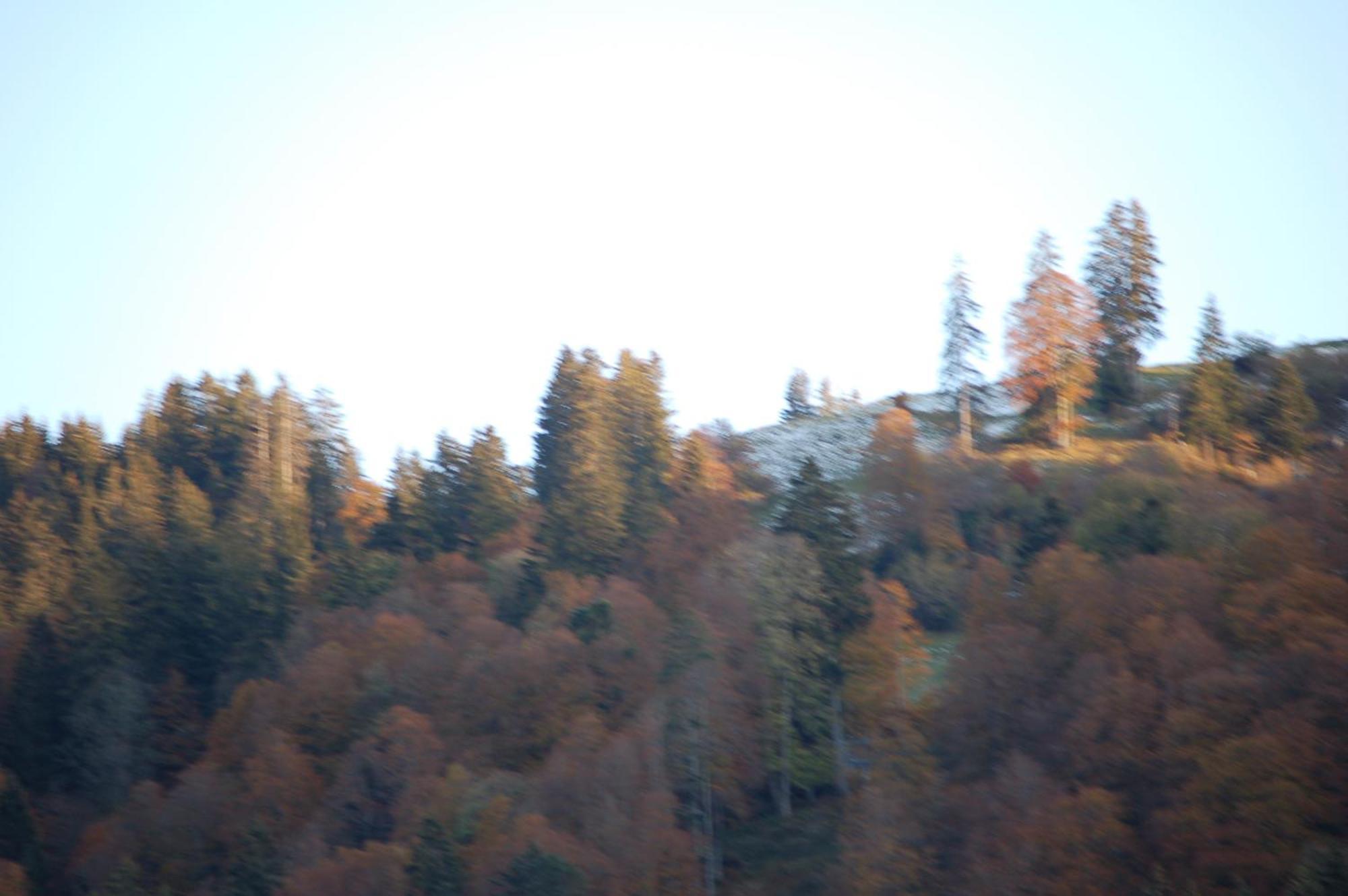 Gasthaus Schaefli Alt St. Johann Exterior foto